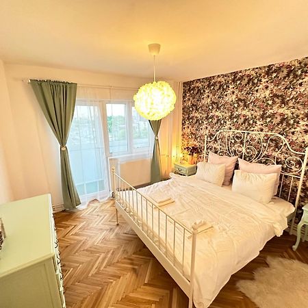 Simba Residence Τιμισοάρα Εξωτερικό φωτογραφία